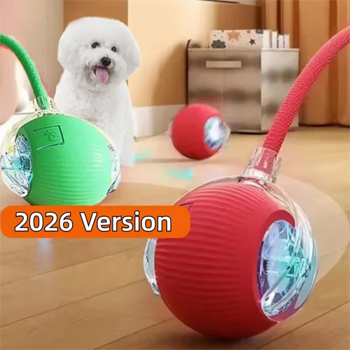Auto-Rolling Dog Ball — Motion Activated Interactive Toy